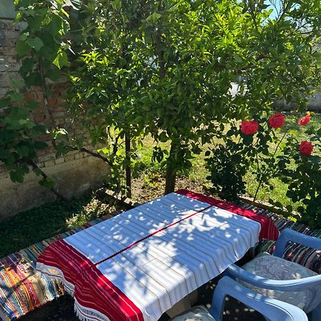 Villa Zefi Rrenc Papaj Dış mekan fotoğraf