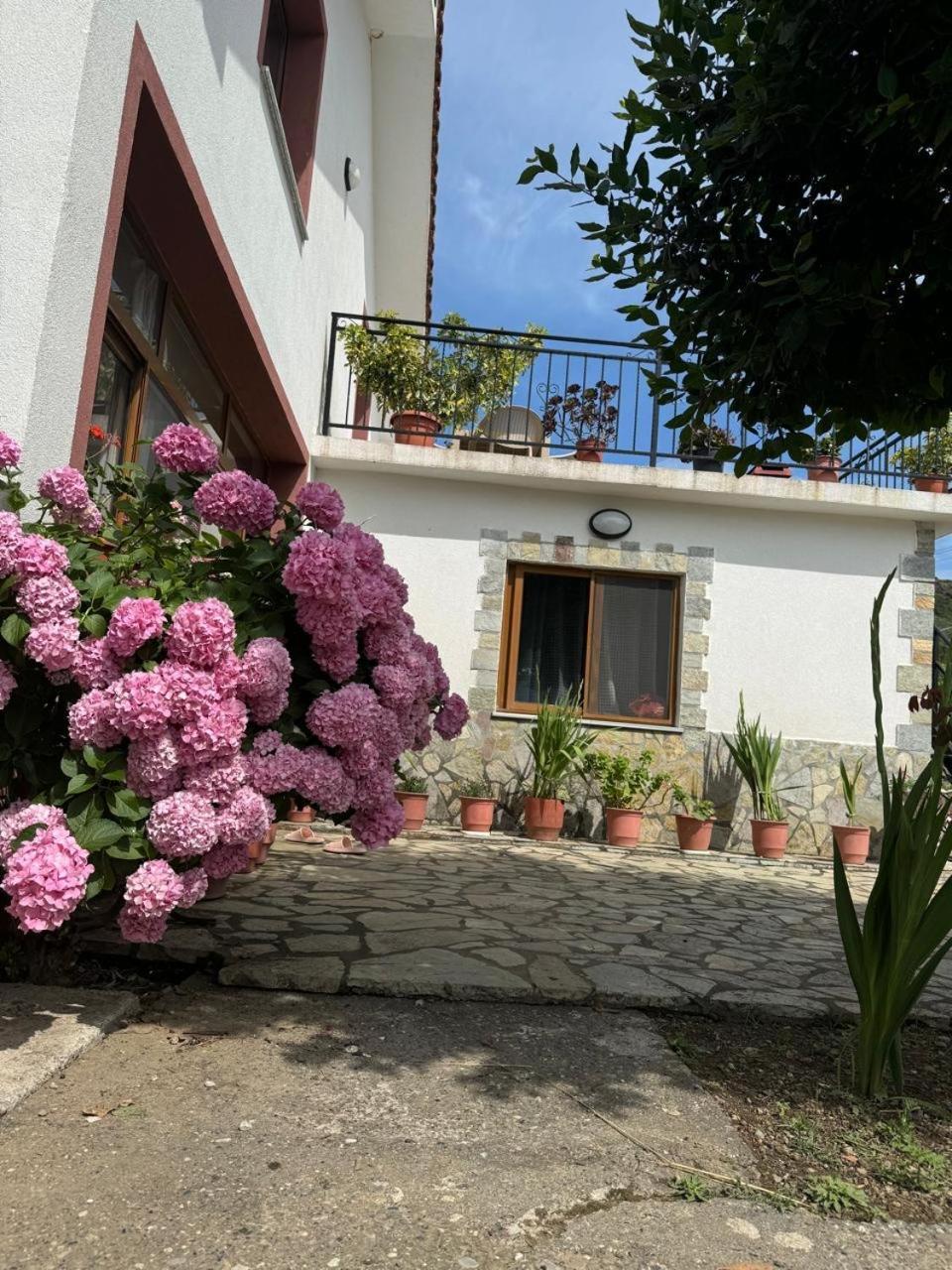 Villa Zefi Rrenc Papaj Dış mekan fotoğraf